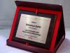 Nagroda / Wyróżnienie w plebiscycie - dyplom drewniany