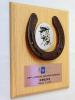 Nagroda w plebiscycie, konkursie - dyplom drewniany z podkową