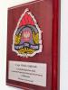 Ryngraf Straż Pożarna - pamiątkowy dyplom drewniany